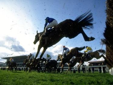 http://betting.betfair.com/horse-racing/Cheltenham%20fence%20underneath%20old.jpg